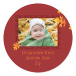 ADDRESS PHOTO STICKER :: mache leaves 1A