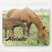 Adelaide Mouse Mats