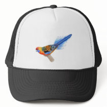 Adelaide Rosella Hat