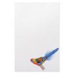 Adelaide Rosella Parrot Stationery