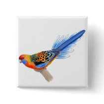 Adelaide Rosella Pin