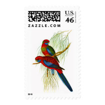 Adelaide rosella postage