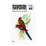 Adelaide rosella postage