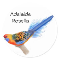 Adelaide Rosella Sticker