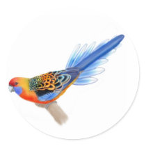 Adelaide Rosella Sticker