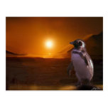Adelie Penguin & Antarctic Sunset Postcards