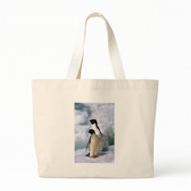 Adelie Penguins Tote Bag