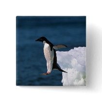 Adelie Penguins Pins