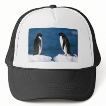 Adelie Penguins Hats