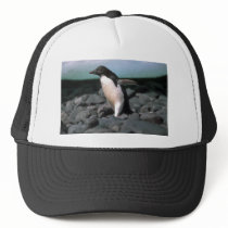 Adelie Penguins Hats