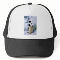 Adelie Penguins Trucker Hat