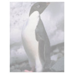 Adelie Penguins letterhead