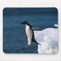 Adelie Penguins Mouse Pads