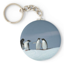 Adelite penguins, Antarctica Key Chain