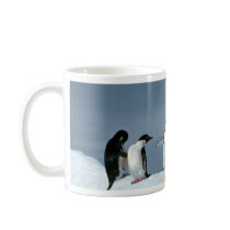 Adelite penguins, Antarctica Coffee Mugs
