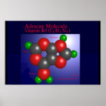 Adenine Molecule (print)