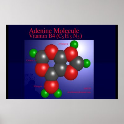 Adenine Molecule (print) by Derethman