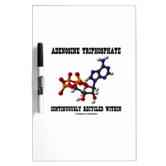 Adenosine Triphosphate Continuously Recycled (ATP) Dry-Erase Boards