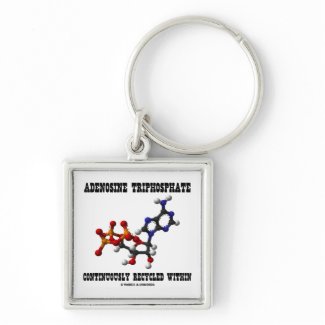 Adenosine Triphosphate Continuously Recycled (ATP) Key Chain