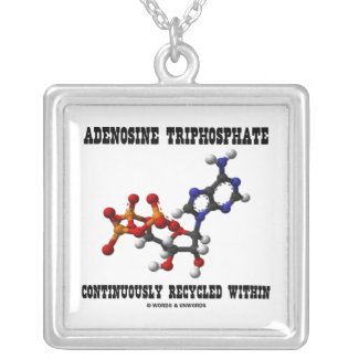 Adenosine Triphosphate Continuously Recycled (ATP) Necklaces