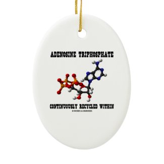 Adenosine Triphosphate Continuously Recycled (ATP) Ornaments
