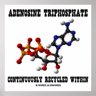 Adenosine Triphosphate Continuously Recycled (ATP) Poster