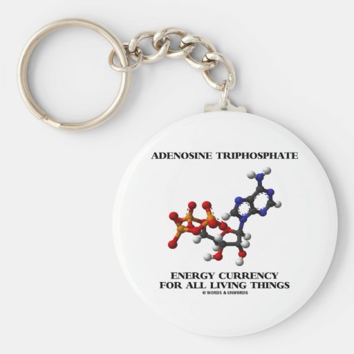 Adenosine Triphosphate Energy Currency For All Keychains