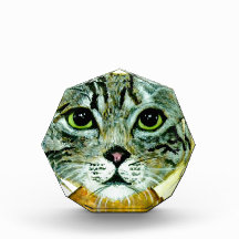 adgreycat8x10.jpg grey cat face awards