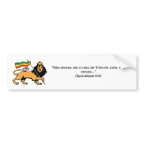 Adhesive for Car Bumper Stickers