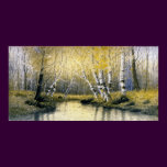 Adirondack Birches