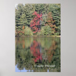 Adirondack Fall Fire Posters
