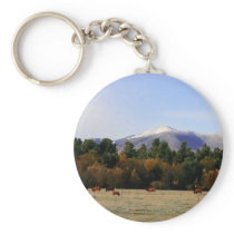 Adirondack farm edited-2 key chains