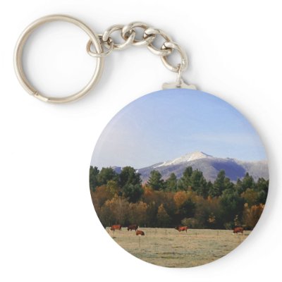 Adirondack farm edited-2 key chains by heathenos