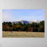 Adirondack farm poster