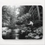 Adirondack Fly Fishing Mousepads