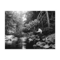 Adirondack Fly Fishing Post Card
