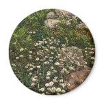 Adirondack mountain wild flowers rare Photochrom Refrigerator Magnets