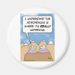 adirondacks gurus really happening fridge magnets