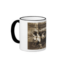 Adjie and the Lions 1899 Mugs