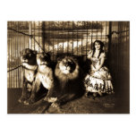 Adjie y los leones 1899 postales