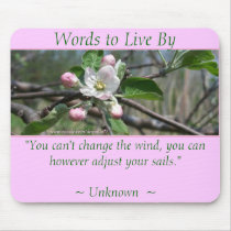 ADJUST YOUR SAILS - Apple Blossom II mousepads