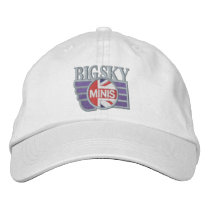 Adjustable Ball Cap Embroidered Hat