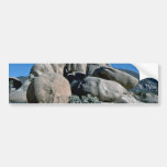 Adjusted By Nature Bumper Sticker