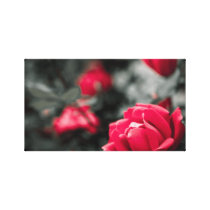 Adjusted Pink Roses on Canvas Gallery Wrap Canvas