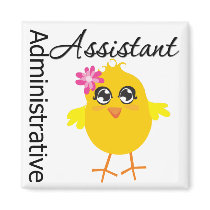 Administrative Assistant Chick magnets