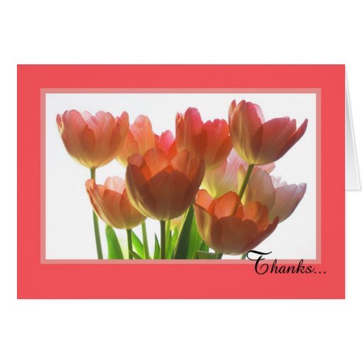 Administrative Assistant Day Card -- Orange Tulips