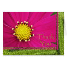 Administrative Professional Day Card -- Cosmos
