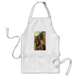 Admirable Outlaw by NC Wyeth aprons