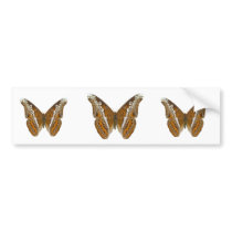 Admiral Butterfly Bumper Stickers