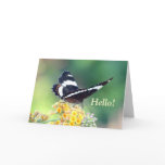 Admiral Butterfly Greeting Card